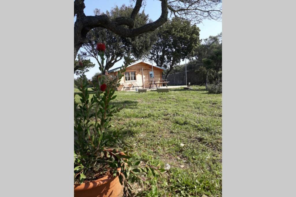 בוניפסיו Chalet Climatise Santa Maria A Bonifacio מראה חיצוני תמונה